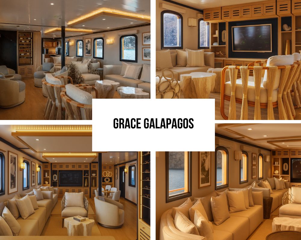 Outstanding Guest Experience and Historic Recognition on Grace