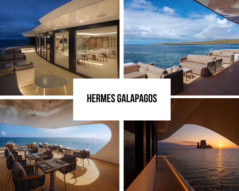 Exceptional 1:1 Crew Ratio and Butler Service Excellence on Hermes