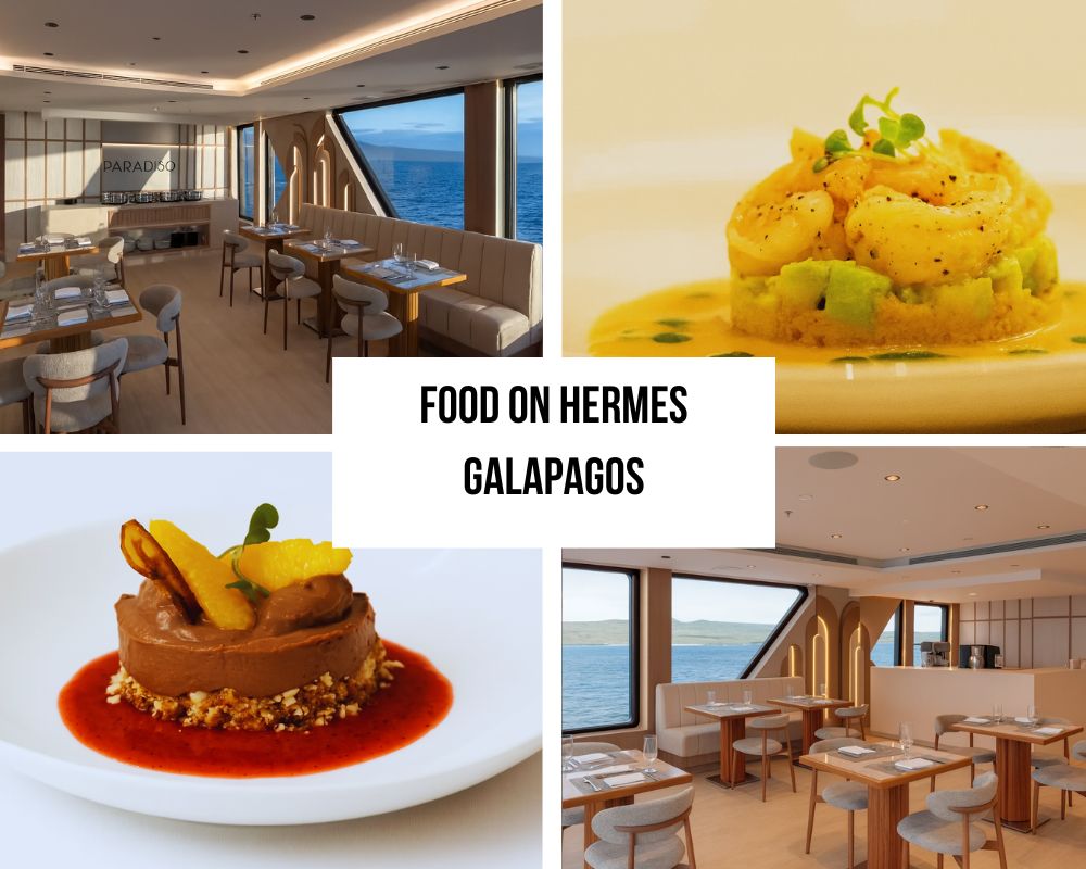 Outstanding Culinary Excellence and Gourmet Innovation on Hermes