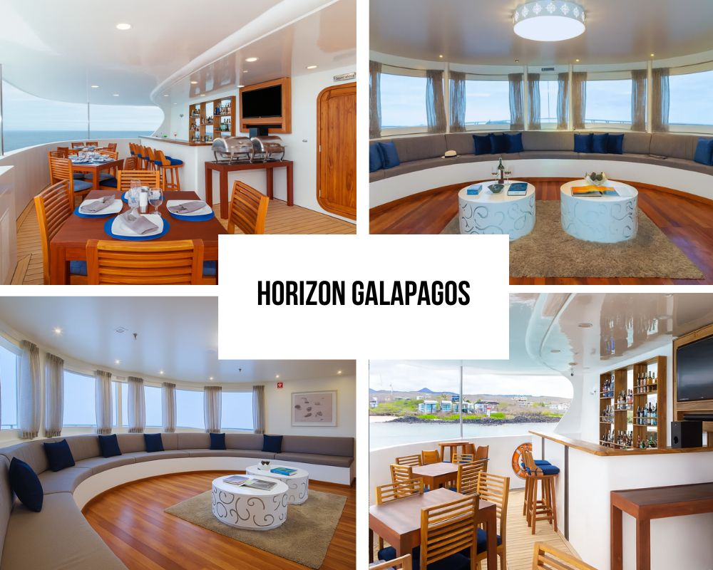 Galapagos Horizon