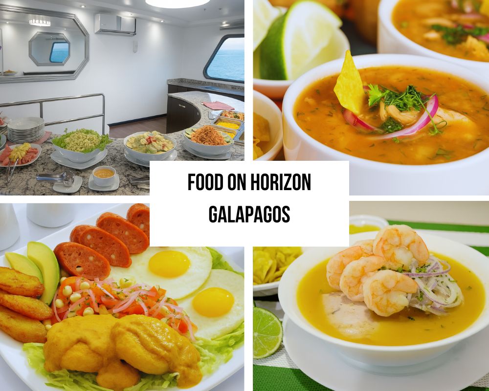 Comprehensive Modern Amenities and Technology Excellence on Galapagos Horizon