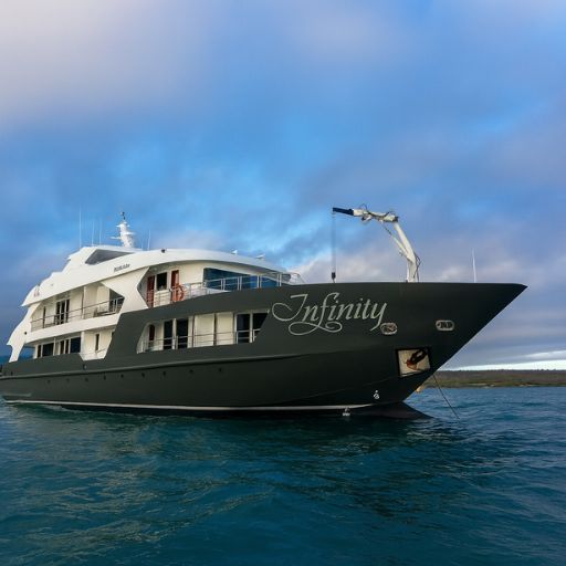 The newly built Infinity yacht offers luxury small-ship cruising