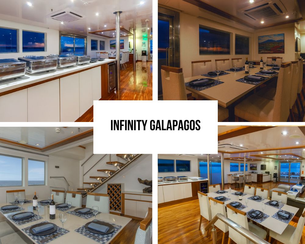 Outstanding Guest Experience and Modern Recognition on Infinity
