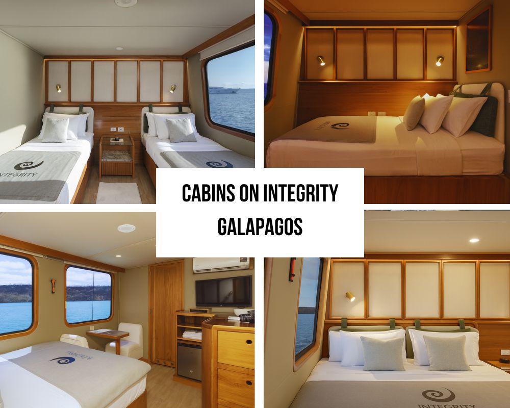 Outstanding Single Traveler Accommodation and Family Excellence on Integrity