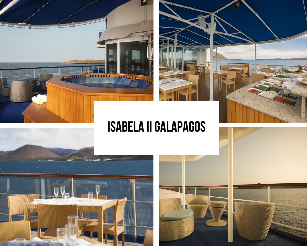 Comprehensive Premium Amenities and Scientific Excellence on Isabela II