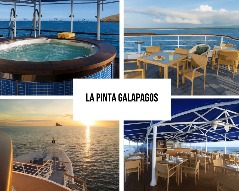 Unique Glass-Bottom Boat and Family Excellence on La Pinta