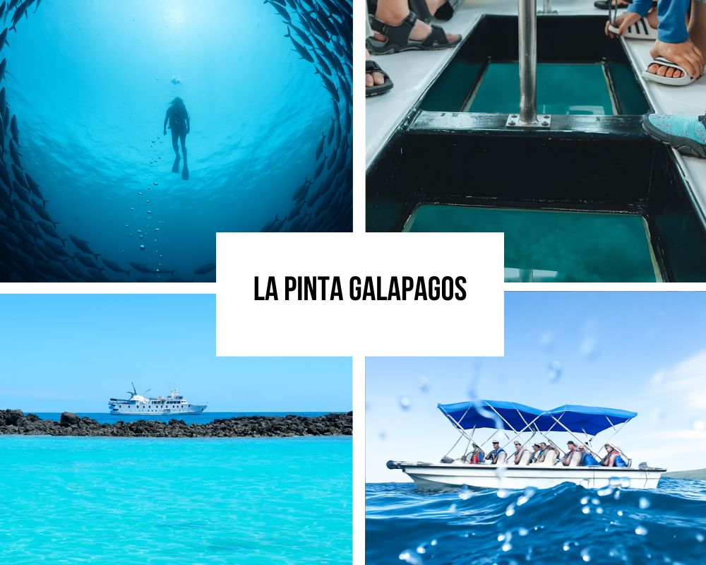 Comprehensive Itinerary Portfolio on La Pinta