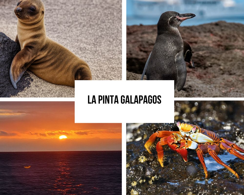 routes on La Pinta