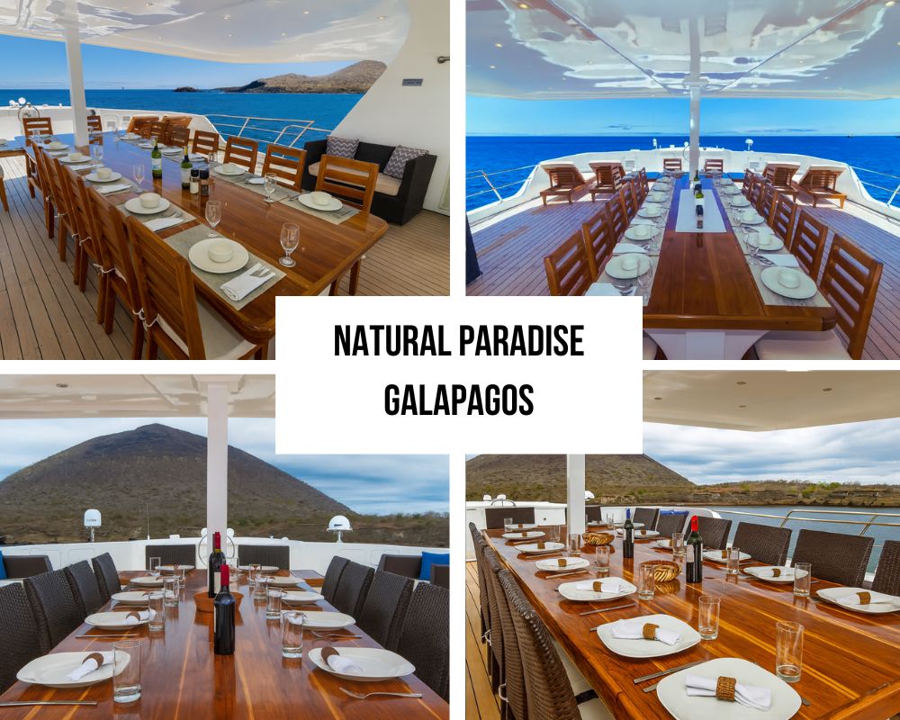 Outstanding Guest Experience and Modern Recognition on Natural Paradise