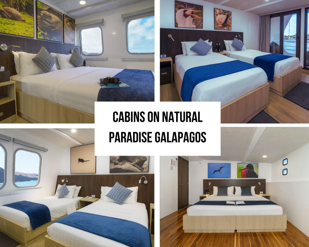 Exceptional Accommodation Flexibility and Private Balcony Excellence on Natural Paradise