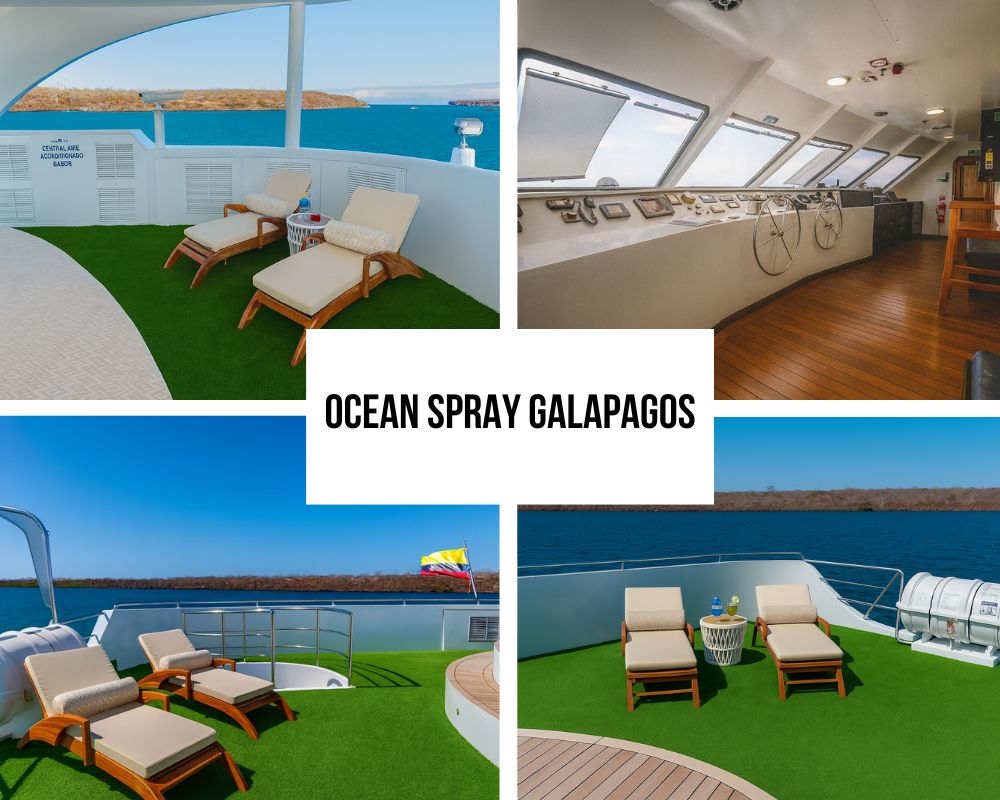 Exceptional Crew Experience and Quality Control Excellence on Ocean Spray