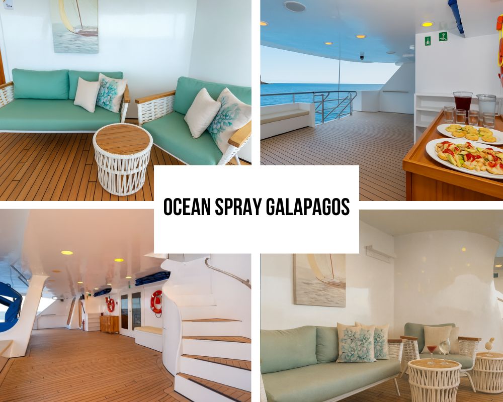 Ocean Spray