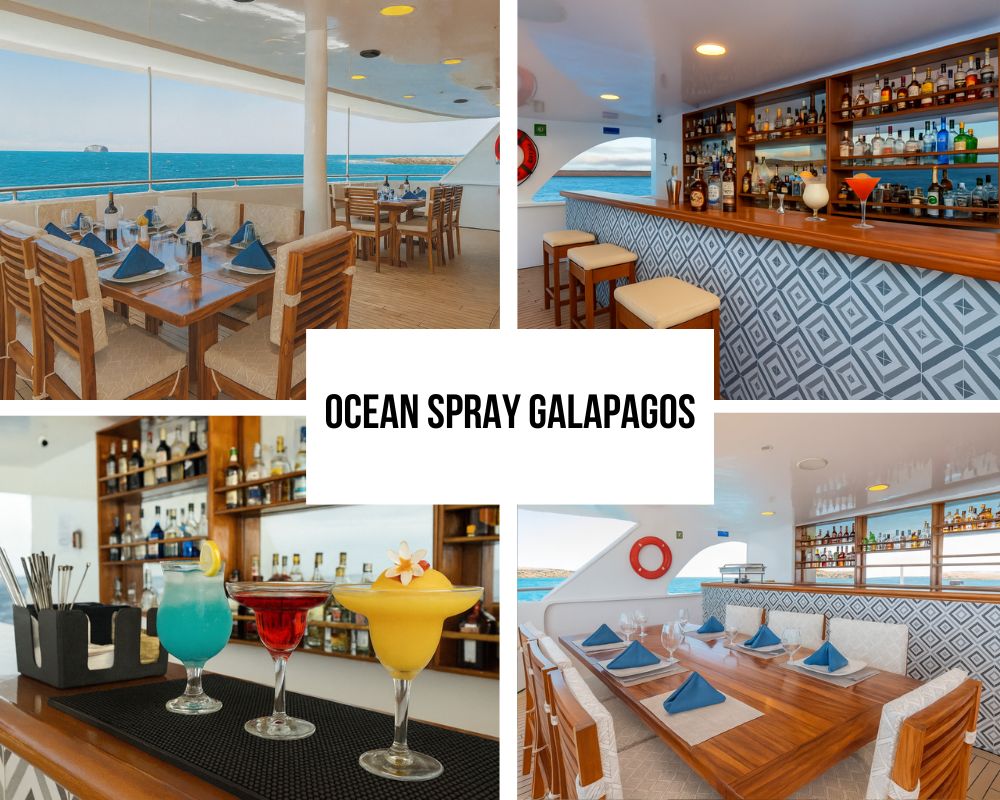 Outstanding Guest Experience and Luxury Recognition on Ocean Spray