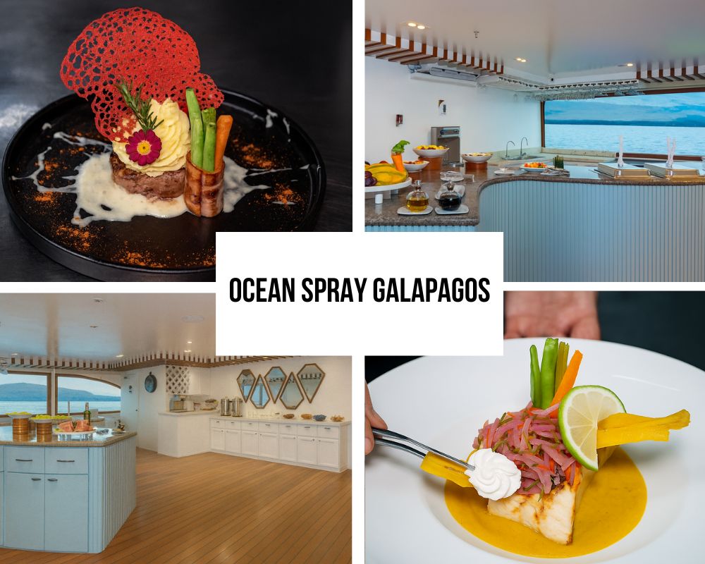 Comprehensive Luxury Dining and Social Excellence on Ocean Spray