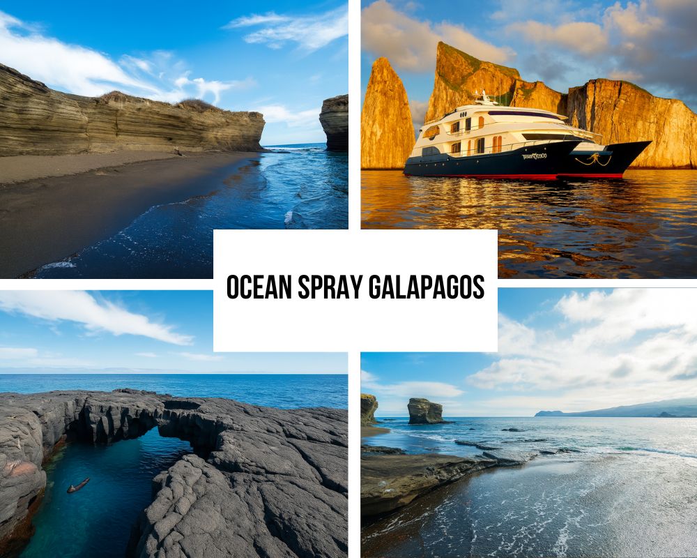 Comprehensive Itinerary Portfolio on Ocean Spray