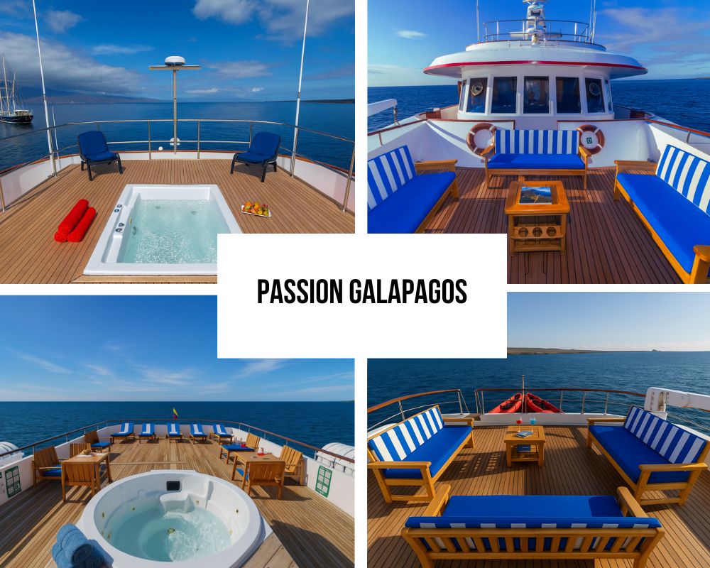 Outstanding 1:1 Staff-to-Guest Ratio and Service Excellence on Passion