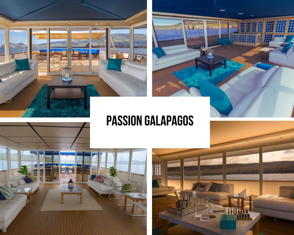Outstanding Guest Experience and Ultra-Exclusive Recognition on Passion