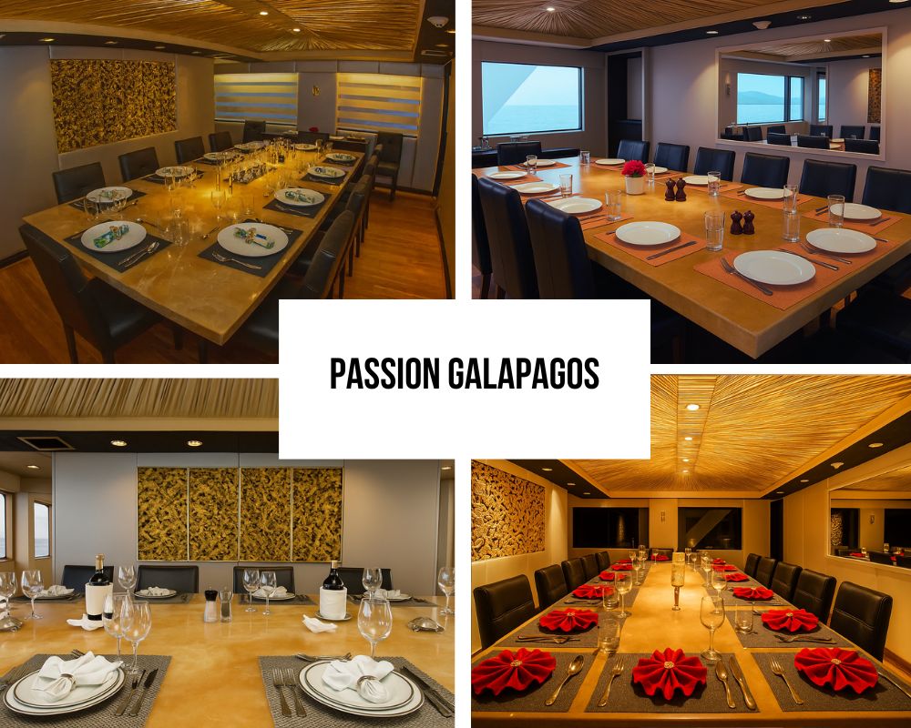 Ultra-Exclusive Recognition on Passion