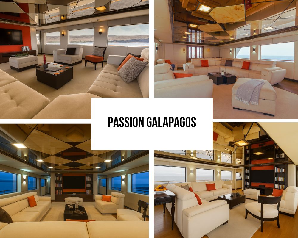 Ultra-Exclusive Recognition on Passion