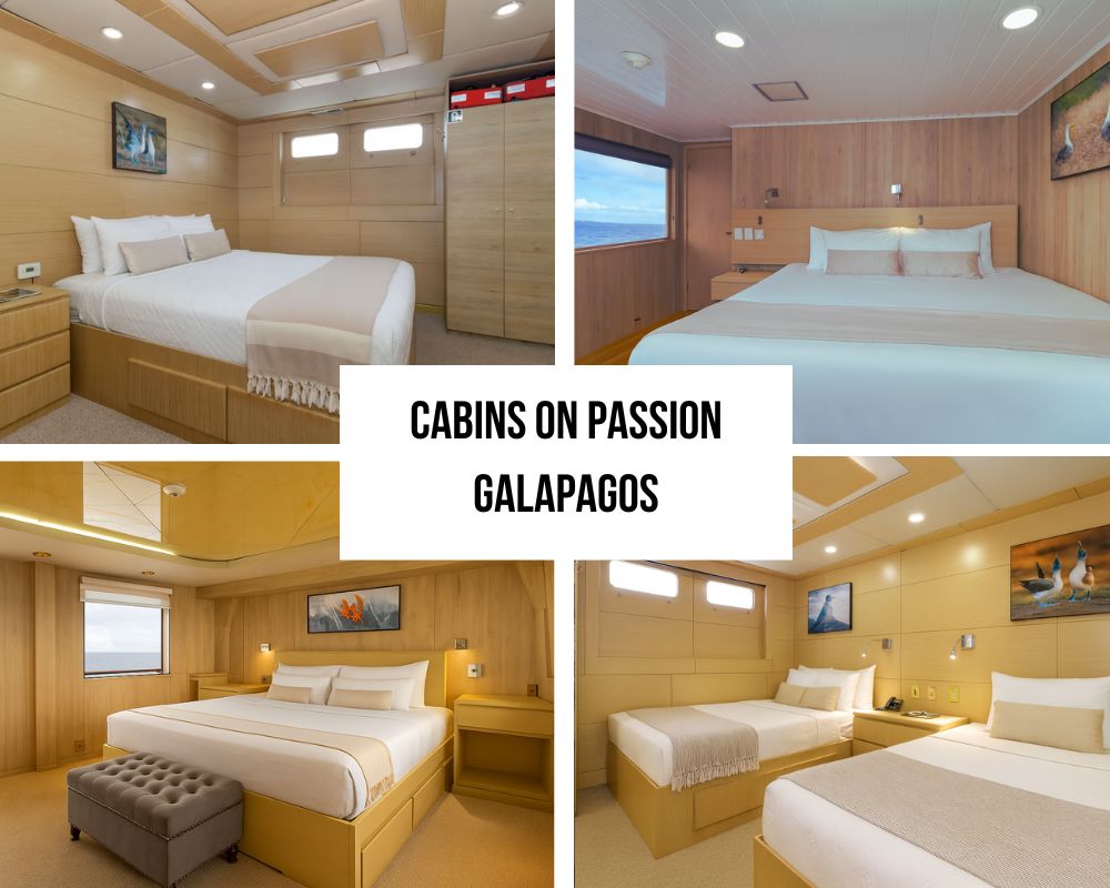 Comprehensive Private Yacht Amenities and Stabilizer Excellence on Passion