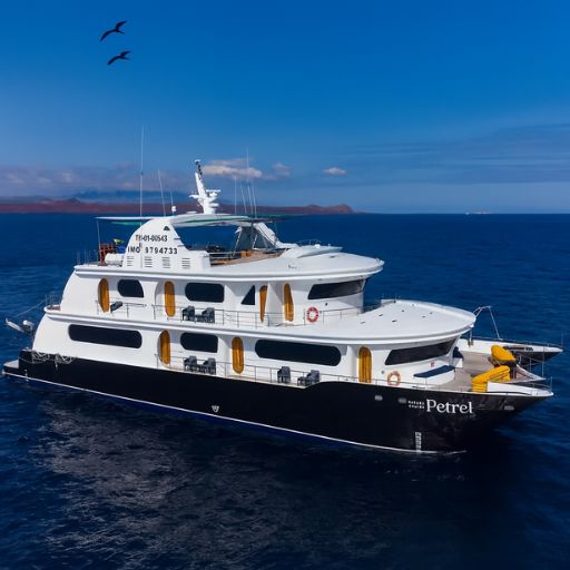 The Motor Catamaran Petrel 