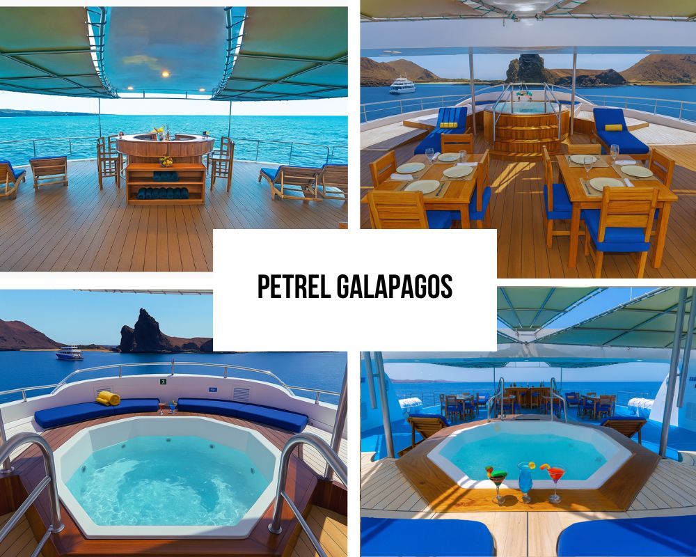 Outstanding Premium Social Areas and Jacuzzi Excellence on Petrel