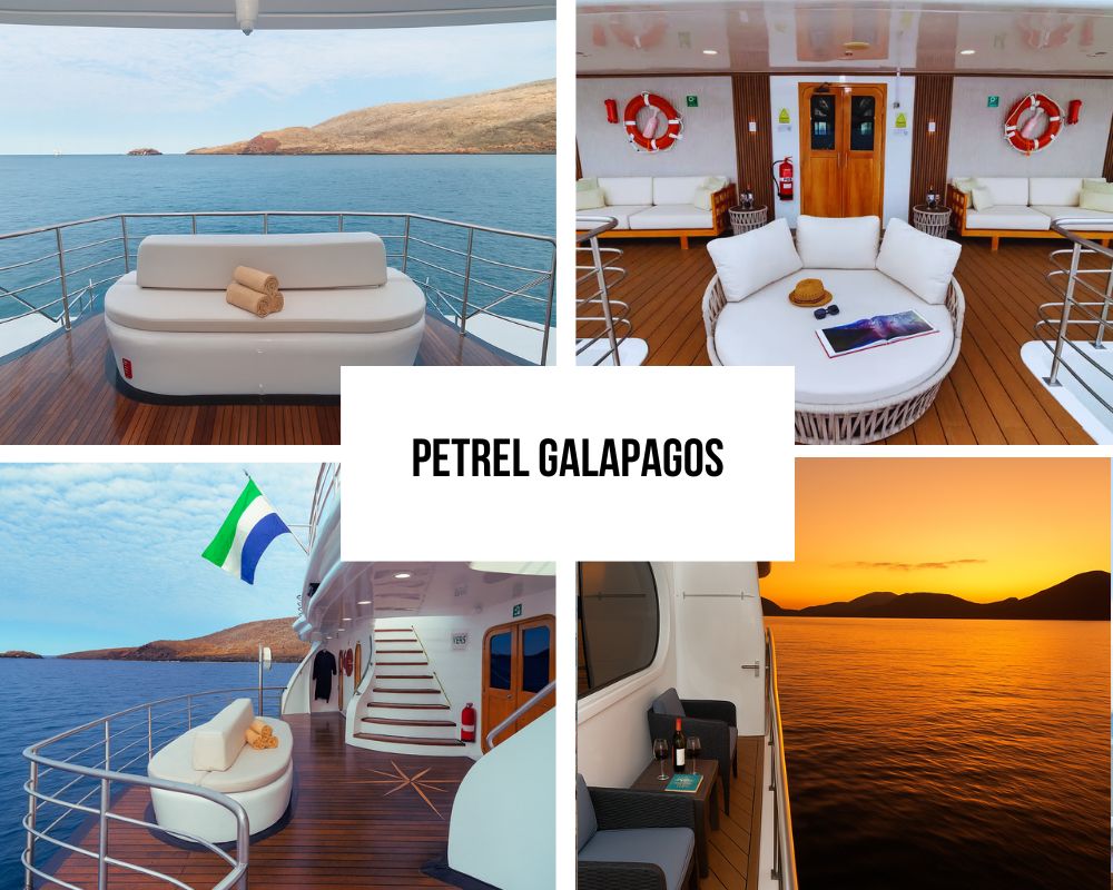 Petrel's unique catamaran stability,