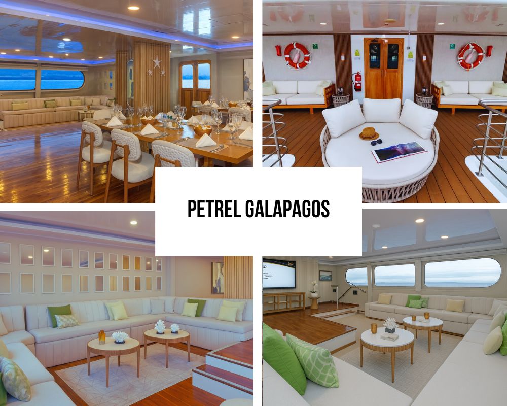 Outstanding Guest Experience and Luxury Recognition on Petrel