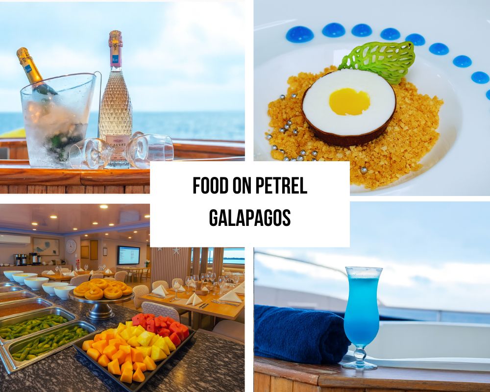 Outstanding Guest Experience and Luxury Recognition on Petrel