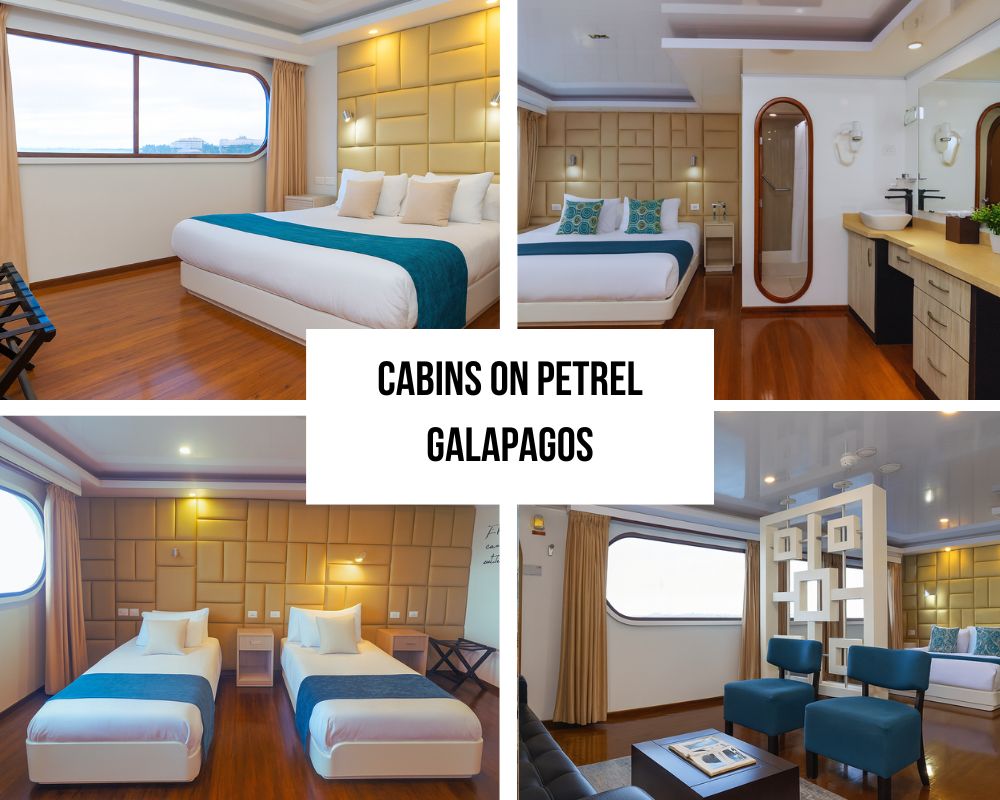 Exceptional Twin-Hull Comfort and Smooth Navigation Excellence on Petrel