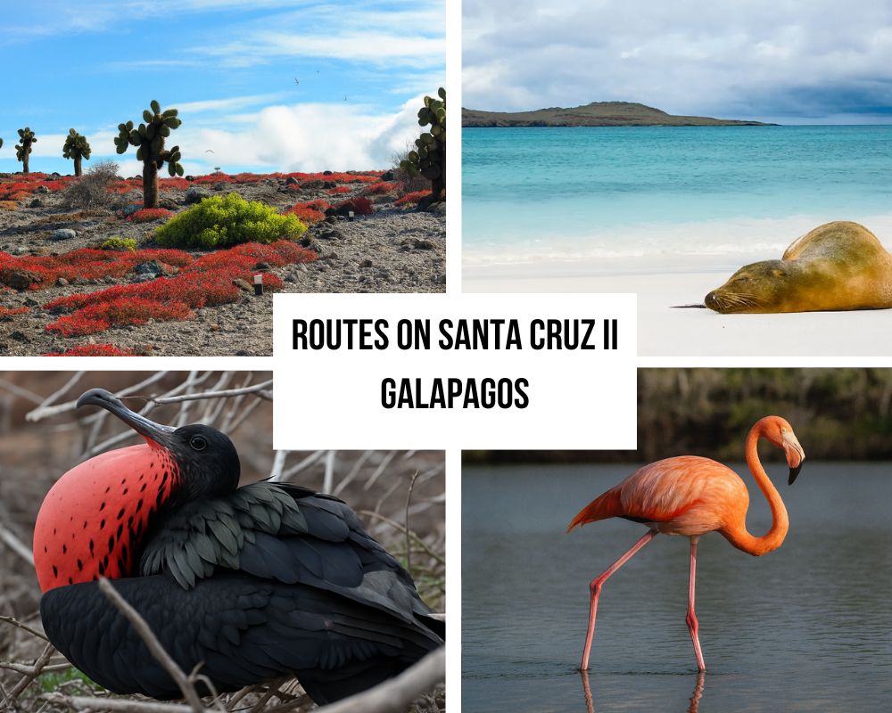 Comprehensive Itinerary Portfolio on the Santa Cruz II