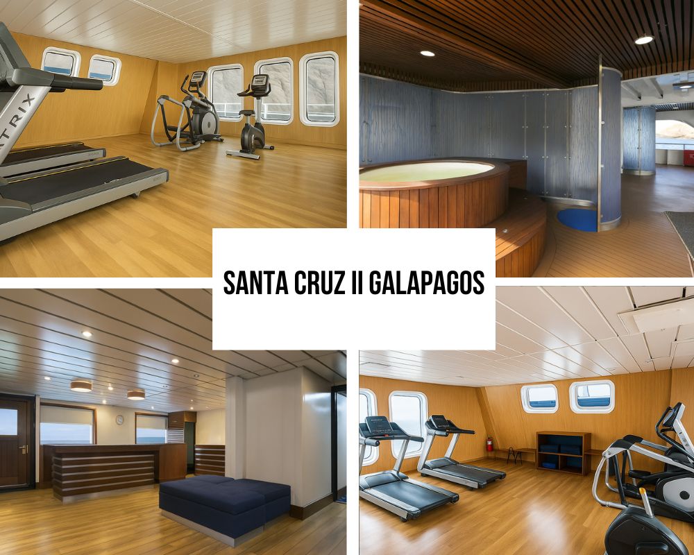 Outstanding Space and Modern Sophistication on the Santa Cruz II