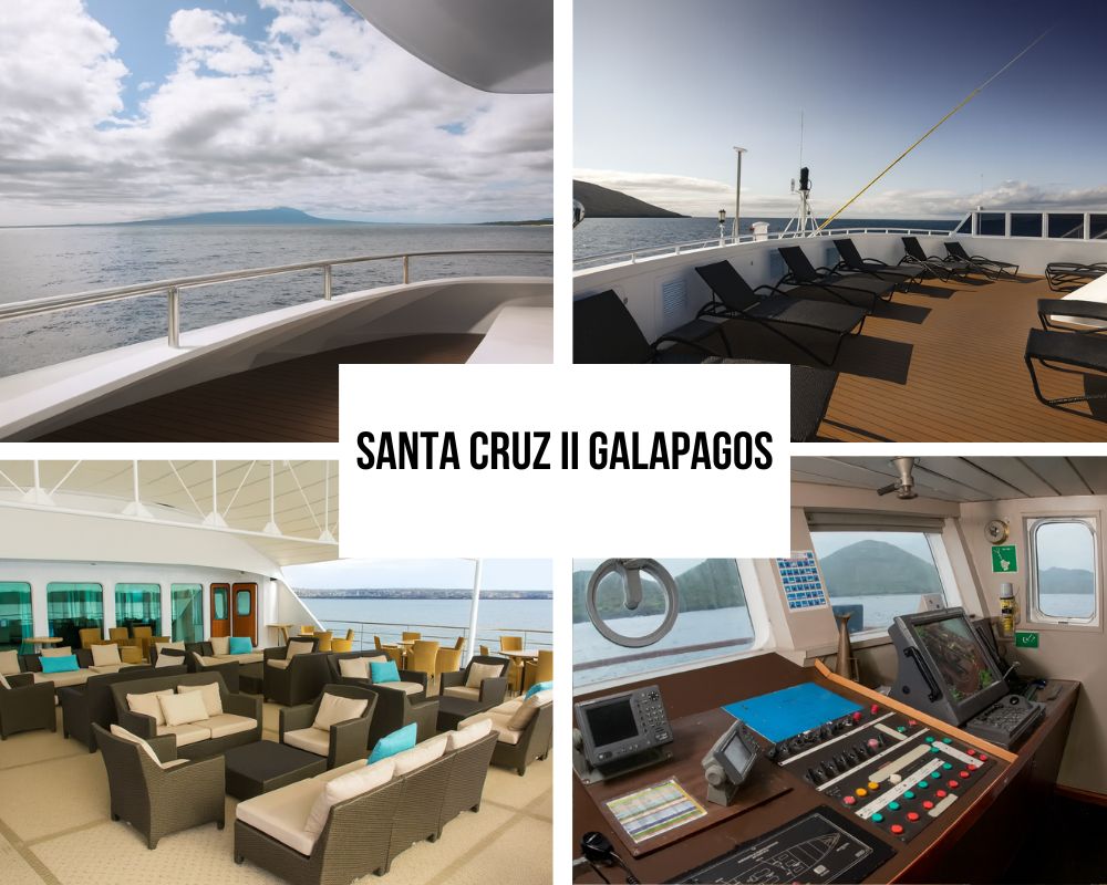 Outstanding Guest Experience and Premium Recognition on the Santa Cruz II