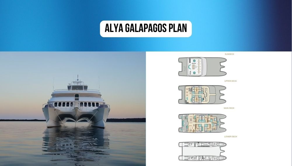 Revolutionary Modern Design and Panoramic Window Excellence on Alya