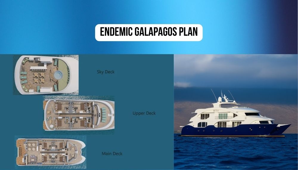 Revolutionary Purpose-Built Design and New Generation Excellence on Endemic