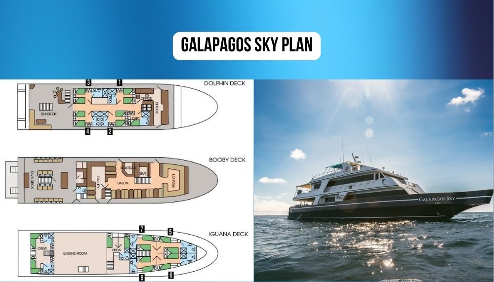 Revolutionary Purpose-Built Luxury and Diving Heritage Excellence on Galapagos Sky
