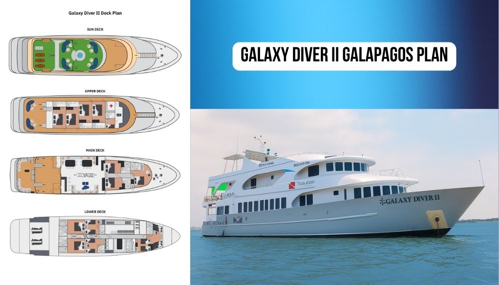 Revolutionary Diving Specialization and Dual Adventure Excellence on Galaxy Diver II