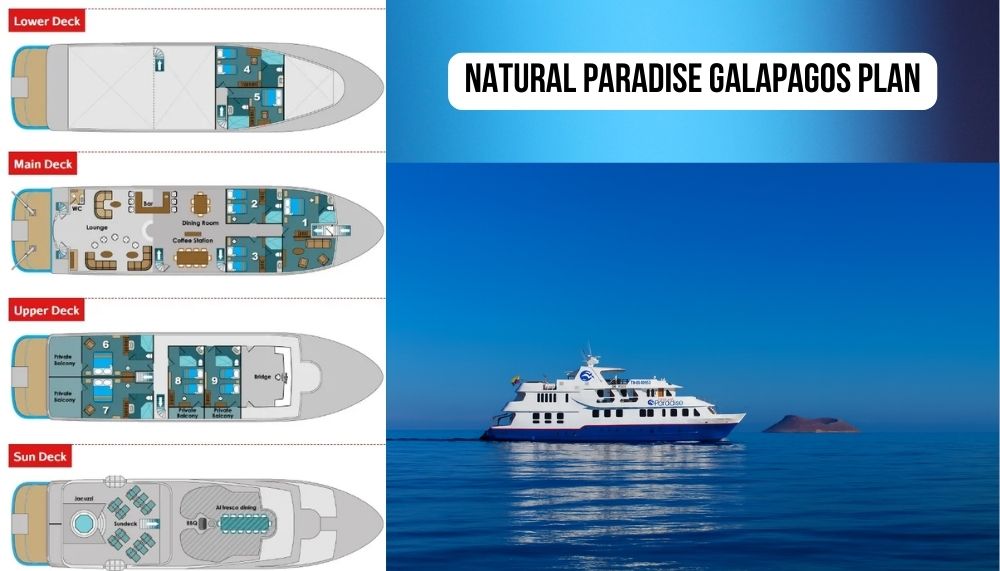 Revolutionary Stabilizer Technology and Modern Design Excellence on Natural Paradise
