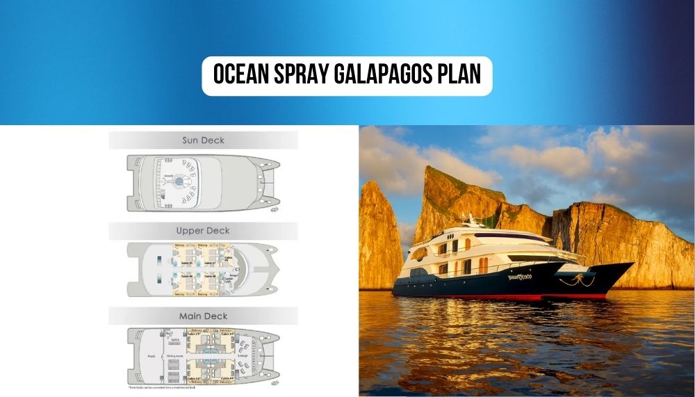 Revolutionary Mega-Catamaran Design and Speed Excellence on Ocean Spray