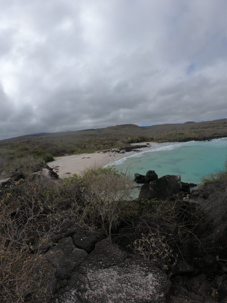 Cool and dry season landscape in the Galapagos Islands during August cruise tour with Cruises to Galapagos Islands