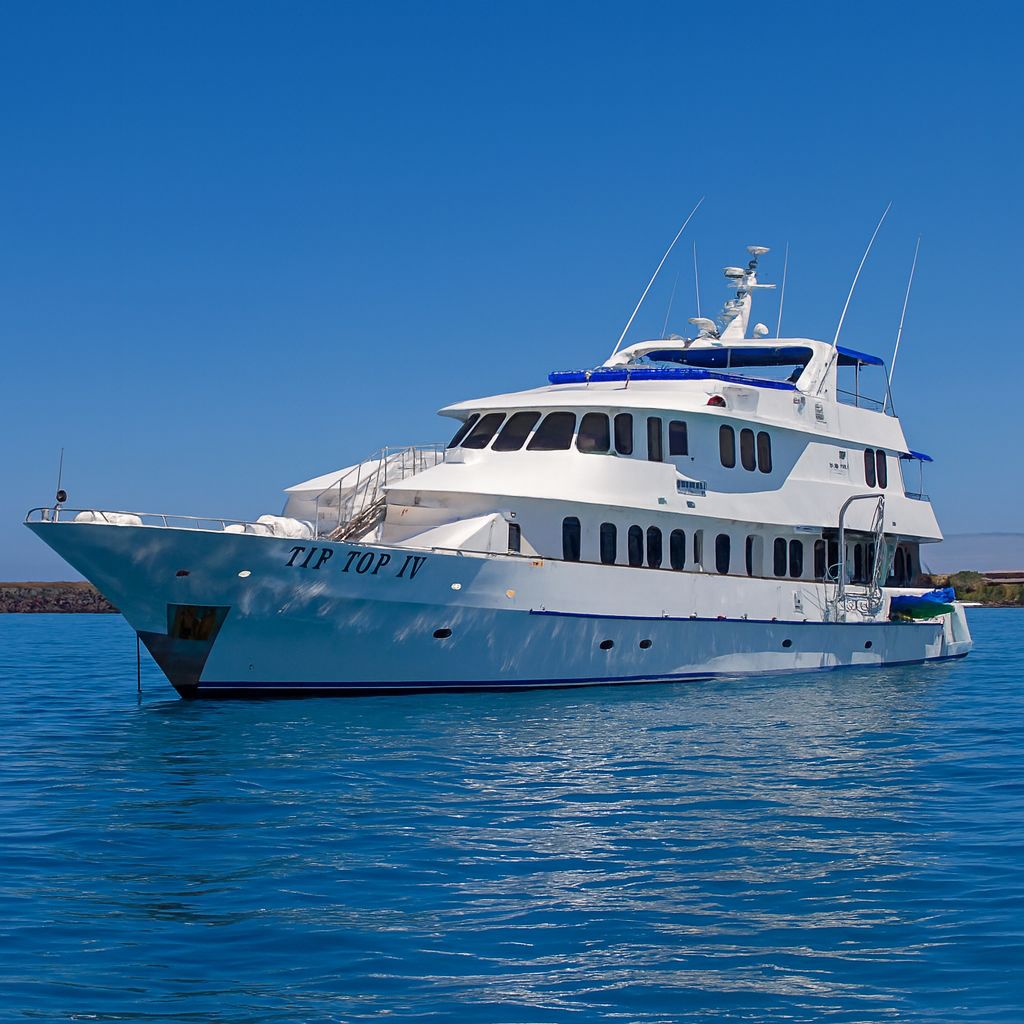 Tip Top IV Galapagos Cruise navigating crystal-clear waters during October voyage organized by Cruises to Galapagos Islands