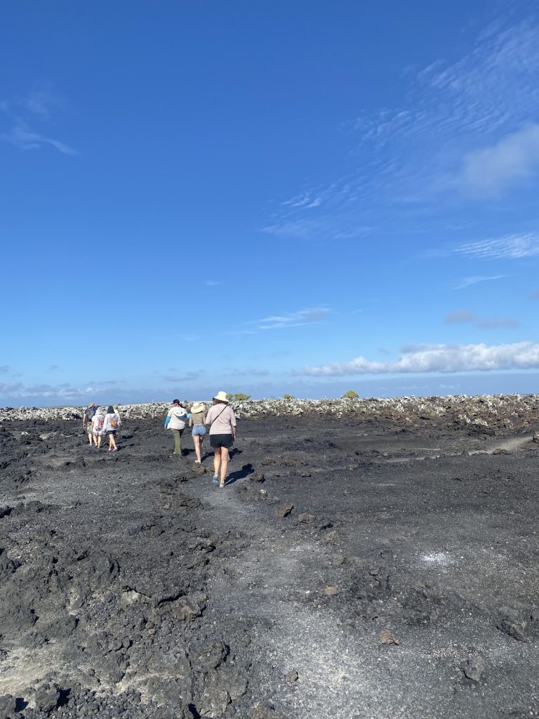 Tourists walking across a volcanic landscape during a February Galapagos cruise excursion with Cruises to Galapagos Islands