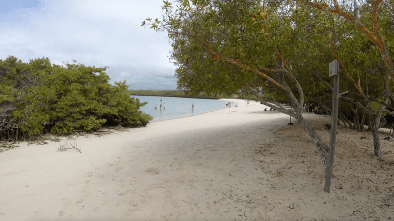 Beautiful tropical beach visited by guests during an October Galapagos expedition with Cruises to Galapagos Islands