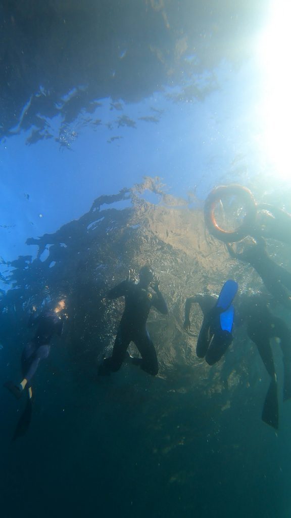 Snorkeling excursion in the Galapagos Marine Reserve during both dry and wet season cruises with Cruises to Galapagos Islands